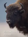Bialowieza Forest Poland sinopsis y comentarios