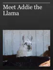 Meet Addie the Llama synopsis, comments