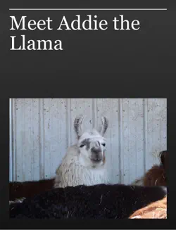 meet addie the llama book cover image