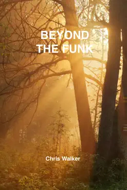 beyond the funk book cover image
