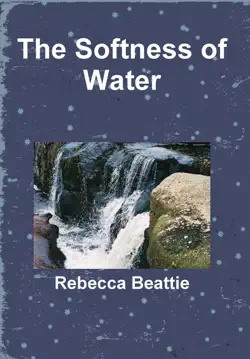 the softness of water book cover image