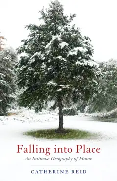 falling into place book cover image