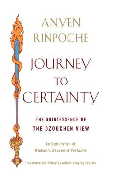 journey to certainty book cover image