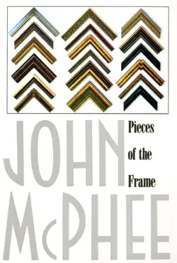pieces of the frame book cover image
