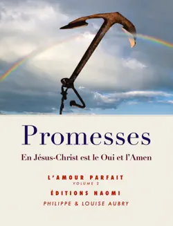 promesses book cover image