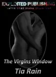 The Virgins Window synopsis, comments