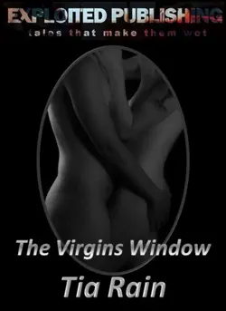 the virgins window book cover image