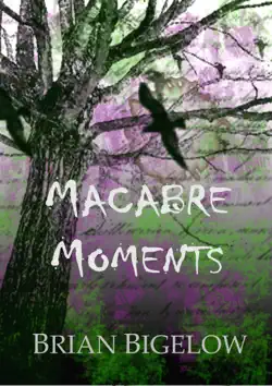 macabre moments book cover image