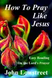 How To Pray Like Jesus synopsis, comments