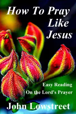 how to pray like jesus book cover image