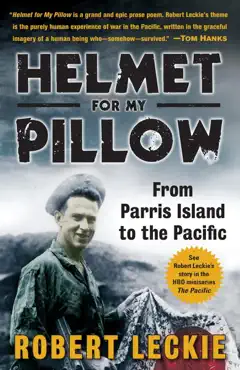helmet for my pillow book cover image