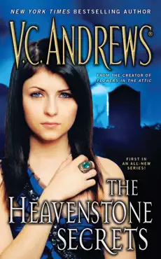the heavenstone secrets book cover image