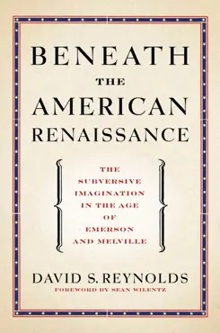 beneath the american renaissance book cover image