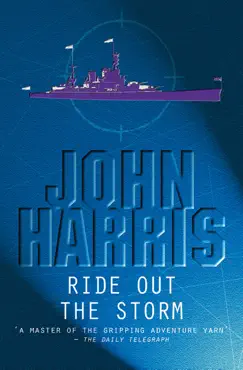 ride out the storm book cover image