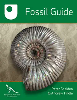 fossil guide book cover image