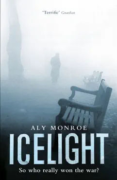 icelight book cover image