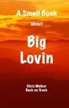 A Small Book About Big Lovin synopsis, comments
