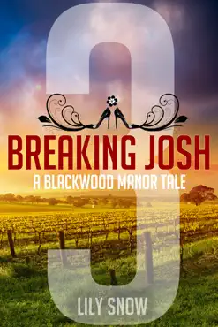 breaking josh 3 book cover image