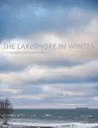 The Lakeshore in Winter synopsis, comments