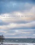 The Lakeshore in Winter