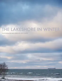the lakeshore in winter book cover image