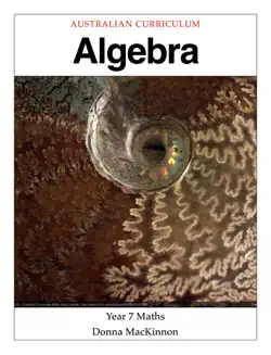algebra book cover image