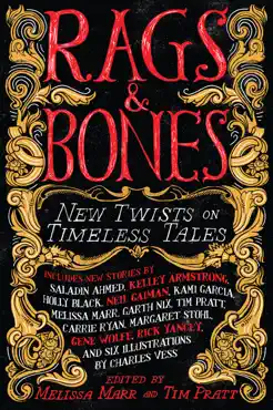 rags & bones book cover image