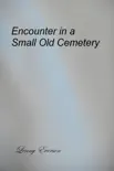 Encounter in a Small Old Cemetery sinopsis y comentarios