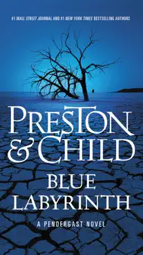 blue labyrinth book cover image