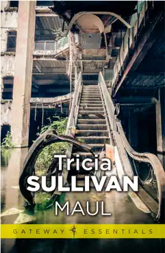 maul book cover image