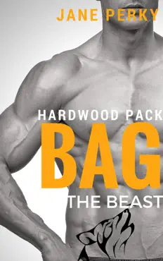 bag the beast book cover image