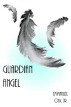 Guardian Angel sinopsis y comentarios