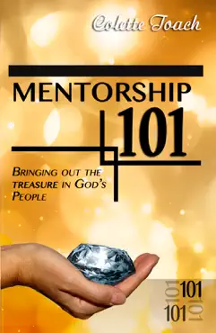 mentorship 101 book cover image