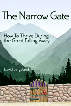 the narrow gate book cover image