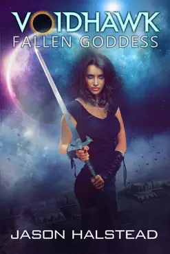 voidhawk - fallen goddess book cover image