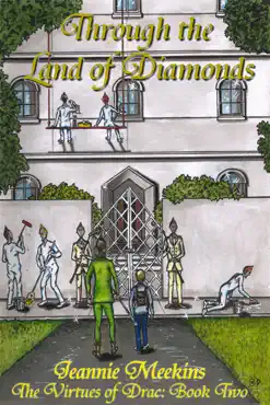 through the land of diamonds book cover image