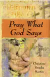 Pray What God Says synopsis, comments