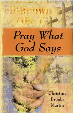 pray what god says book cover image