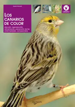 los canarios de color book cover image