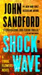 Shock Wave synopsis, comments