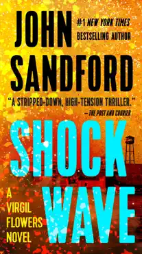 shock wave book cover image