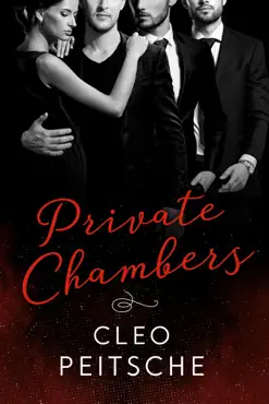 private chambers book cover image