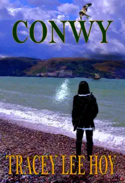 conwy book cover image