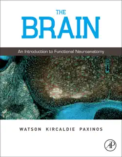 the brain (enhanced edition) book cover image
