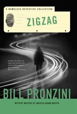 zigzag book cover image