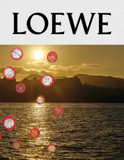 loewe publication no.11 book cover image