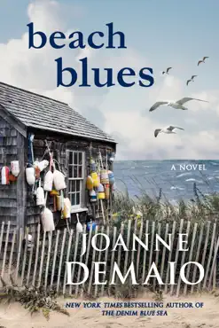 beach blues book cover image