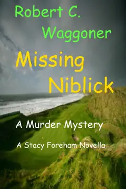 missing niblick book cover image