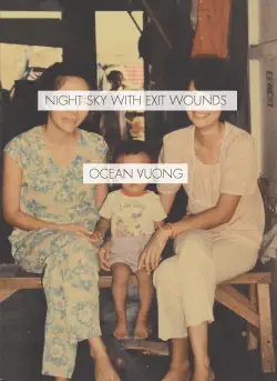 night sky with exit wounds book cover image