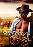 Montana Healing synopsis, comments